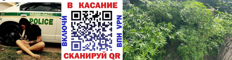 Где найти наркотики Губаха Cocaine  МЕФ  ГАШ  OMG ссылка  Канабис  A-PVP 