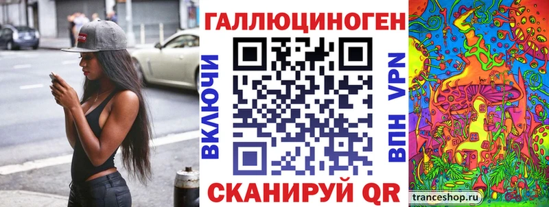 это какой сайт  Губаха  Псилоцибиновые грибы Psilocybine cubensis 